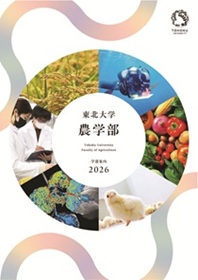 東北工業大学/TOHOKU INSTITUTE OF TECHNOLOGY | 高校と大学は