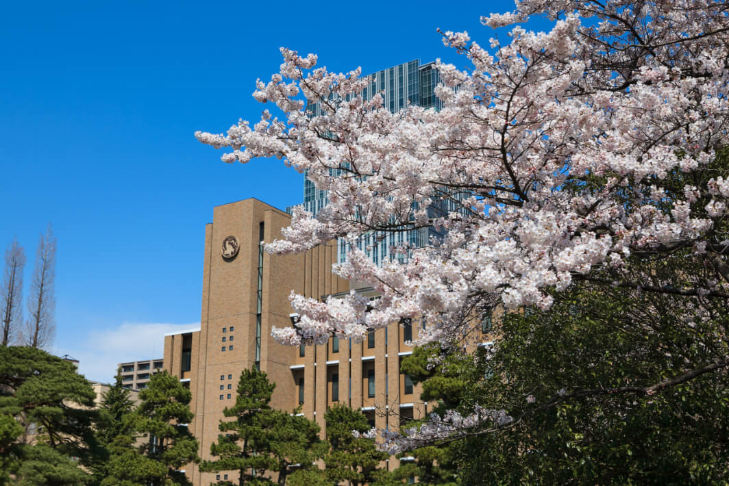 東北大学校舎写真