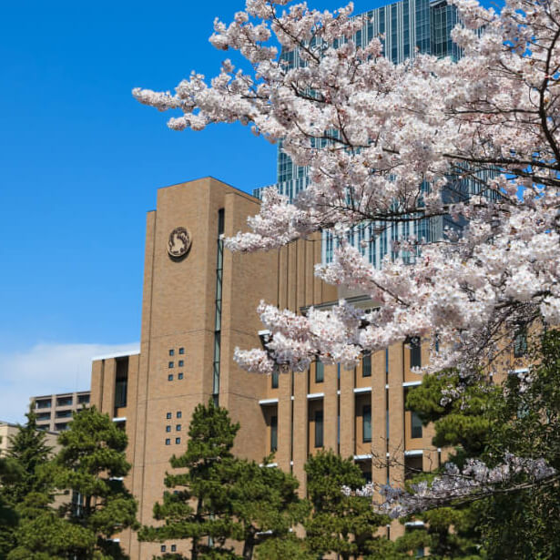 東北大学校舎写真